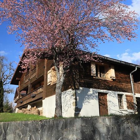 Les Villards-sur-Thônes Sous Les Ecotagnesヴィラ エクステリア 写真