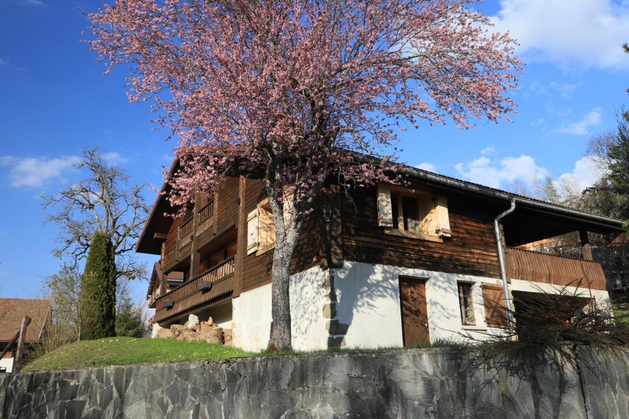 Les Villards-sur-Thônes Sous Les Ecotagnesヴィラ エクステリア 写真